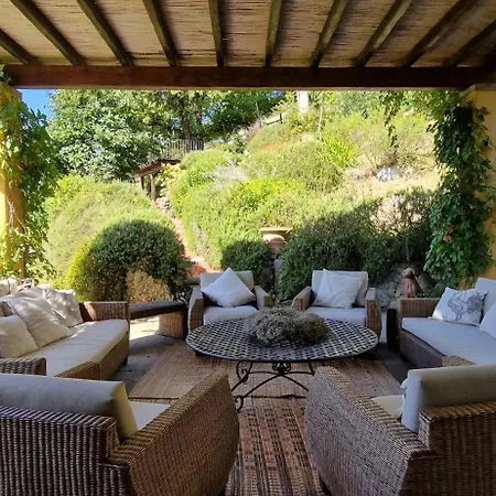 Willa Luxury Pool Oliveto Ciciana