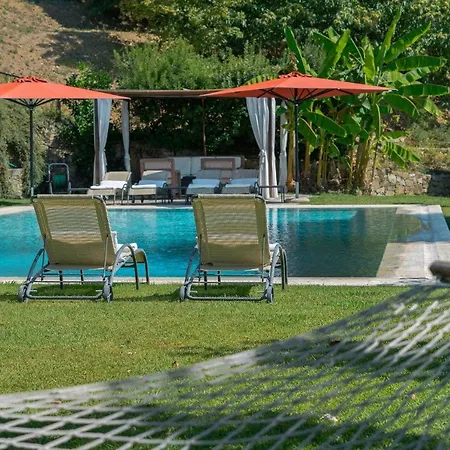 Luxury Pool Oliveto Villa