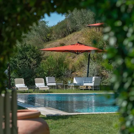 Luxury Pool Oliveto