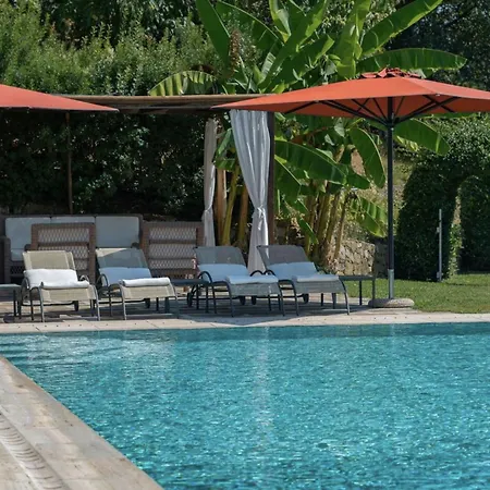 Luxury Pool Oliveto * Ciciana