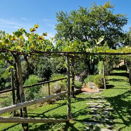 Luxury Pool Oliveto Villa Ciciana